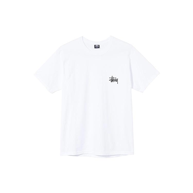 Stussy SS21 Tee Unisex 1904649