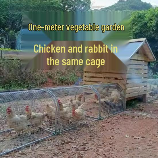 Mobile Free-Range Chicken Tunnel & Walk-Through Coop
