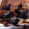 Realistic Handmade Black Feather Crow Decoration Halloween Raven Prop for Outdoor And Indoor Decor