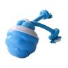 Wiederaufladbarer USB-Hundespielzeug Kauspielzeug Seilball Spielzeug Interaktion Bewegungsaktivierter Rollball für Verschiedene Rassen Fesselnd