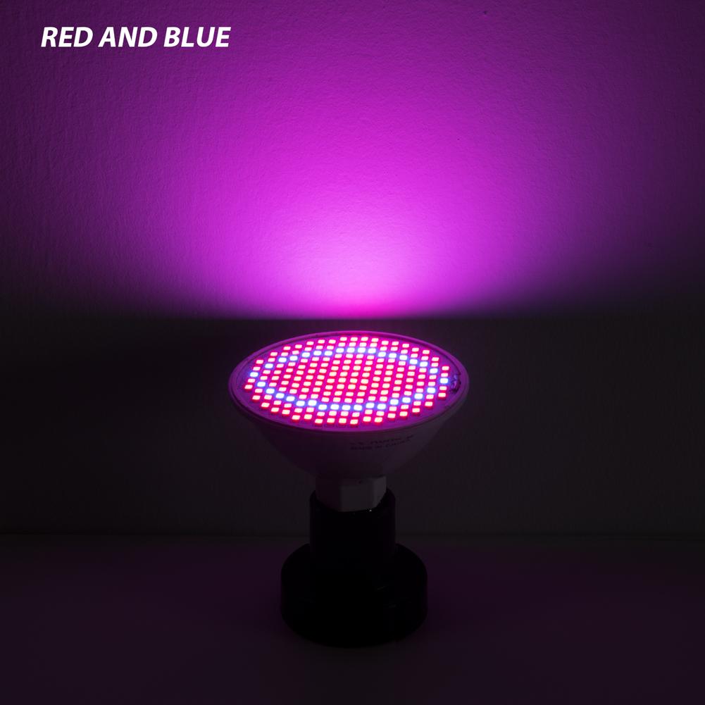 

E27 Светодиодная фитолампа полного спектра E26 Лампа для выращивания растений 15 Вт 20 Вт Светодиодная лампа для выращивания гидропоники в теплице Лампа для выращивания овощей Cultivo E27 60leds 5W&2 Years Warranty