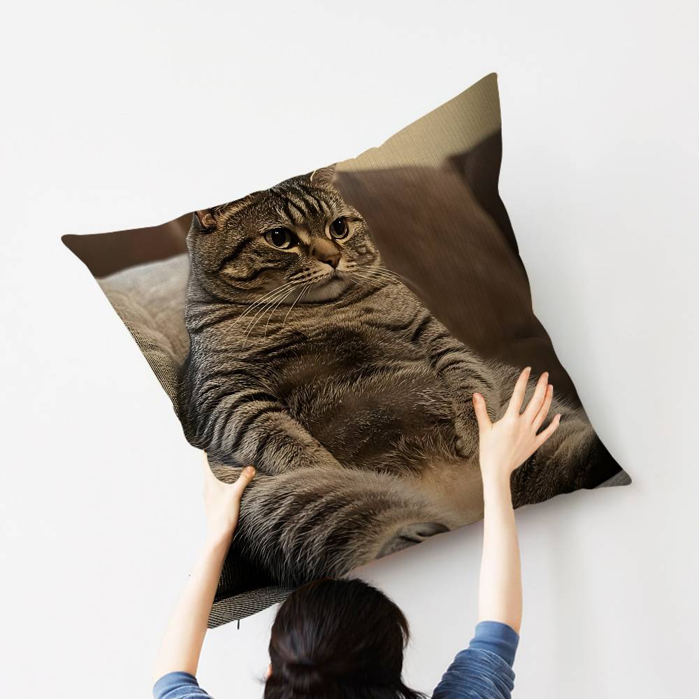 Cat Cute Kitten Stitch Lucky Dragon pillow cover sofa cushion cover home room decoration children gift
