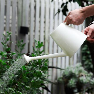 Irrigazione e annaffiatura – Annaffiatoi e spruzzatori