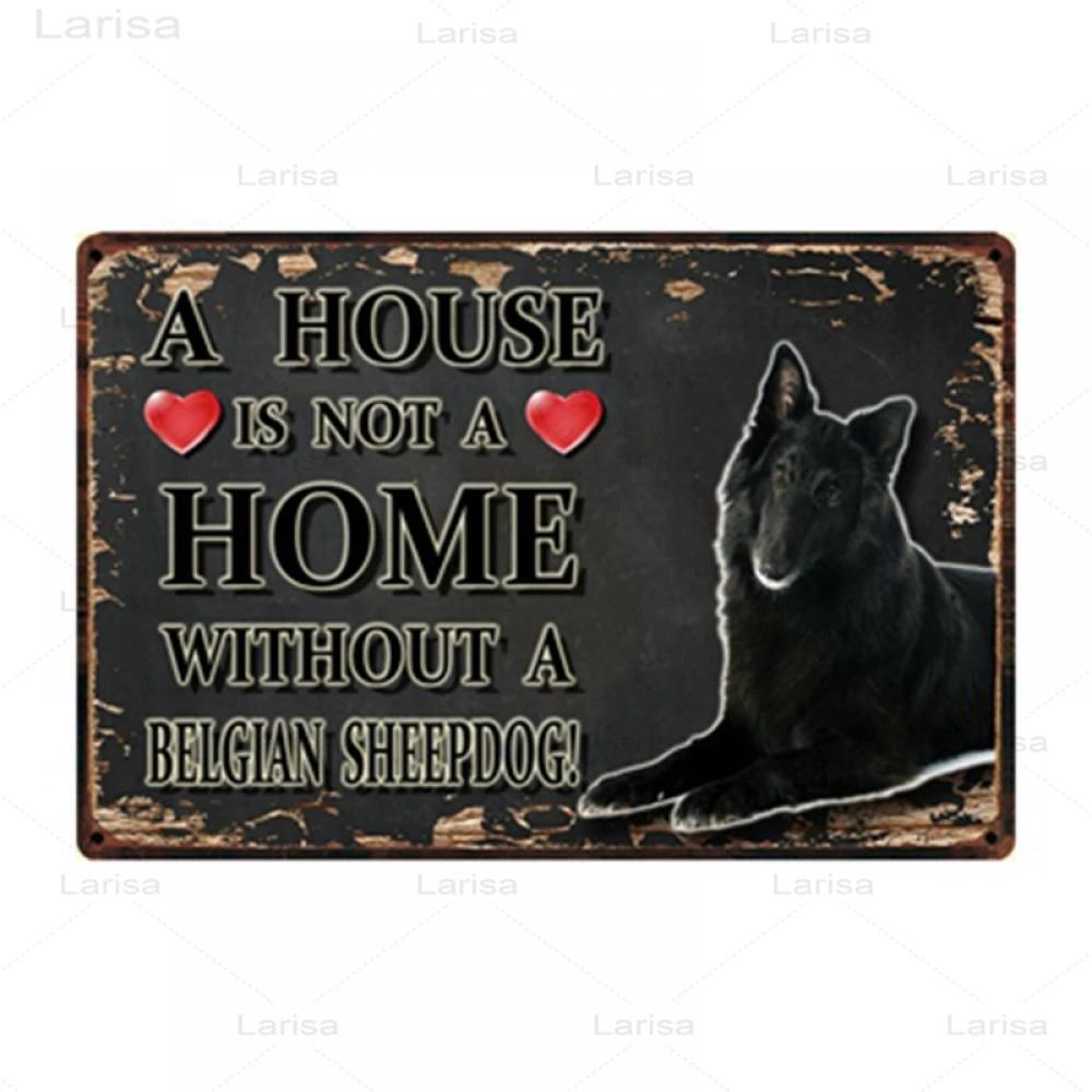 Pets Animal Dog Metal Poster Pitbull Bulldog Chihuahua Tin Sign Vintage Plate Home Decor Bar Pet Shop Wall Art Metal Painting