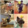 Dog Halloween Costume Cowboy Rider Costume for Small Medium Dogs Cats Funny Dog Clothes Party Suits for Holiday Christmas