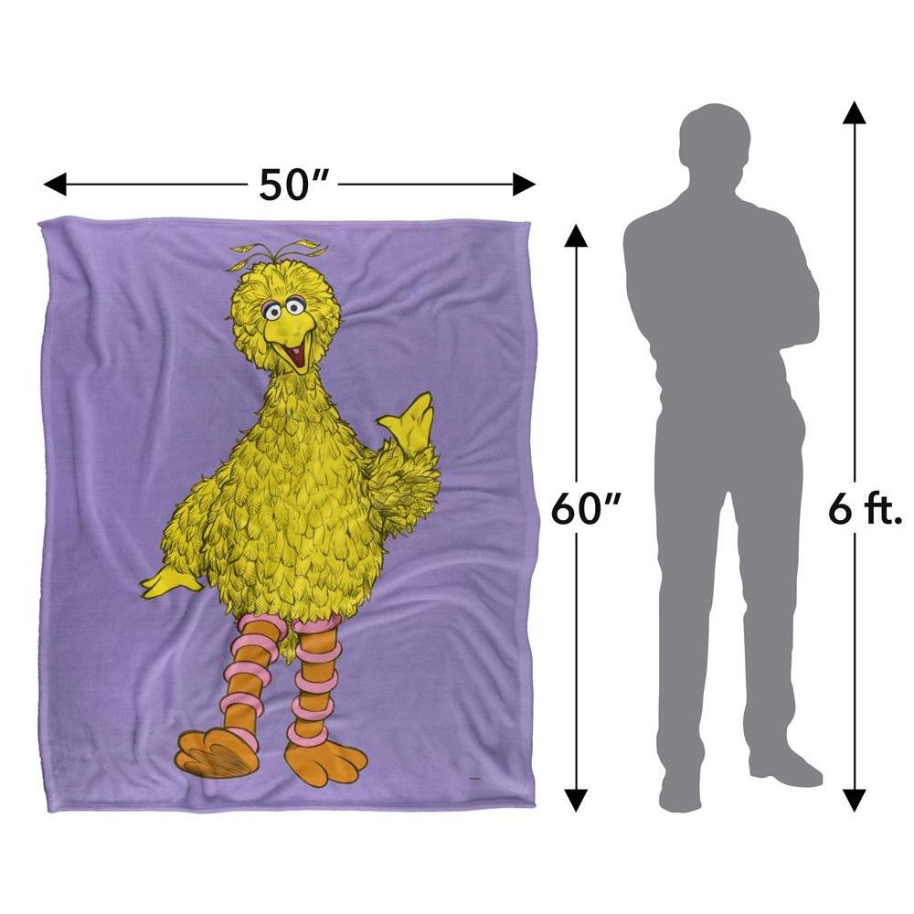 Sesame Street Painted Big Bird Blanket