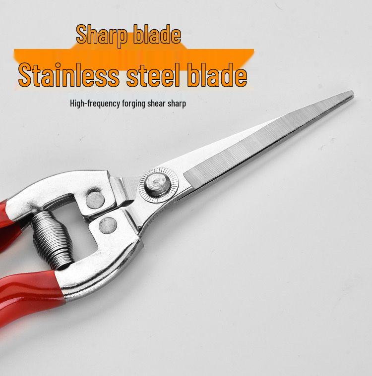 Gardening Shears Set: Pruning & Thinning Tools for Fruit, Vegetables, Sweet Potatoes, Grapes, and Apples; Includes Picking and Prickly Ash Shears.