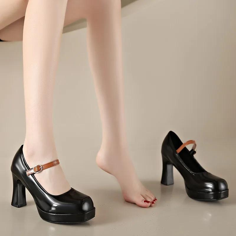 Retro Mary Jane Shoes Women 2024 New Chunky Heel Small Leather Shoes Shallow Mouth Comfort Loafers Fashion White Work High Heels