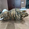Stuffed Tiger Dog Chew Toy Boredom Reduction Squeaky Tiger Plushie Handmade Soft Dog Teething Interactive Forest Animal Toy Pet Supplies