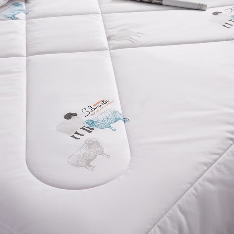 Hengyuanxiang TGB1028 Xiangyi Polyester Duvet