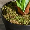 Artificial Plant In Pot, Fake Plant for Home Indoor Decor, 110cm, Green