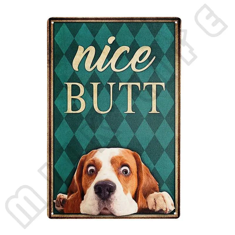 Funny Beagle Dog Metal Tin Sign Plate Retro Art for Bathroom Kitchen Restaurant Dessert Shop Pet Shop Farmhouse Home Room Decor