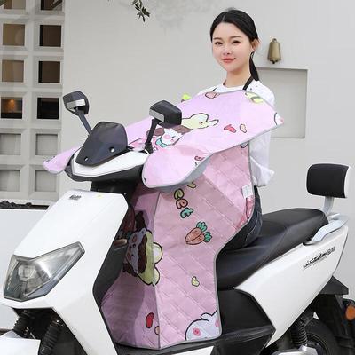 Motosiklet Aksesuarları – Motorsiklet Koruyucular