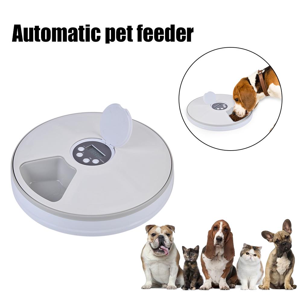 automatic pet feeder small animal