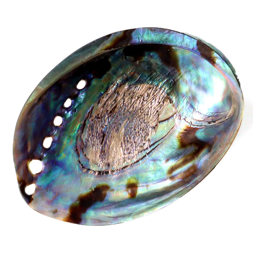 

Абалон Белый шалфей Удача Очищение Пауа Сделано в Новой Зеландии Ракушка, Очищение, Очищение, Амулет, Оберег, Тарелка, Ракушка, Морская ракушка, белый