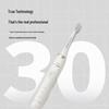 Philips SPA Sonic Electric Toothbrush HX2491/01 CN Plug (adapter Included)
