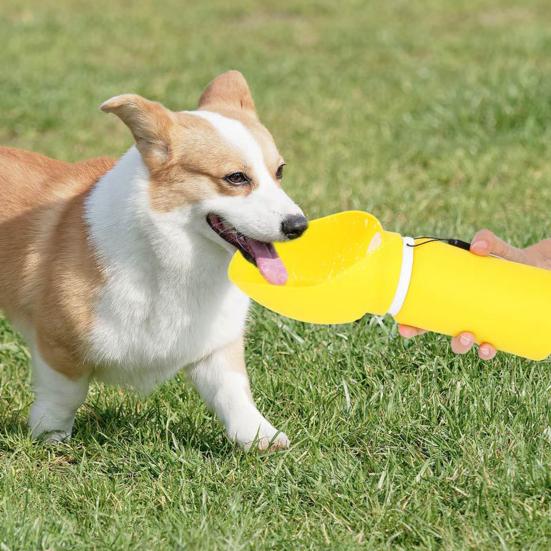 Foldable Dog Water Bottle Portable Leak-Proof Water Dispenser with Drinking Bowl Silicone