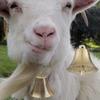 Bell Decorations Loss Prevention Pure Copper Farm Bell Pet Pendants Copper Bell Grazing Bell
