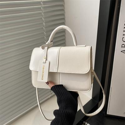 New Niche Design Stylish and Simple Small Square Bag Trendy Bag Women's Casual Messenger Bag