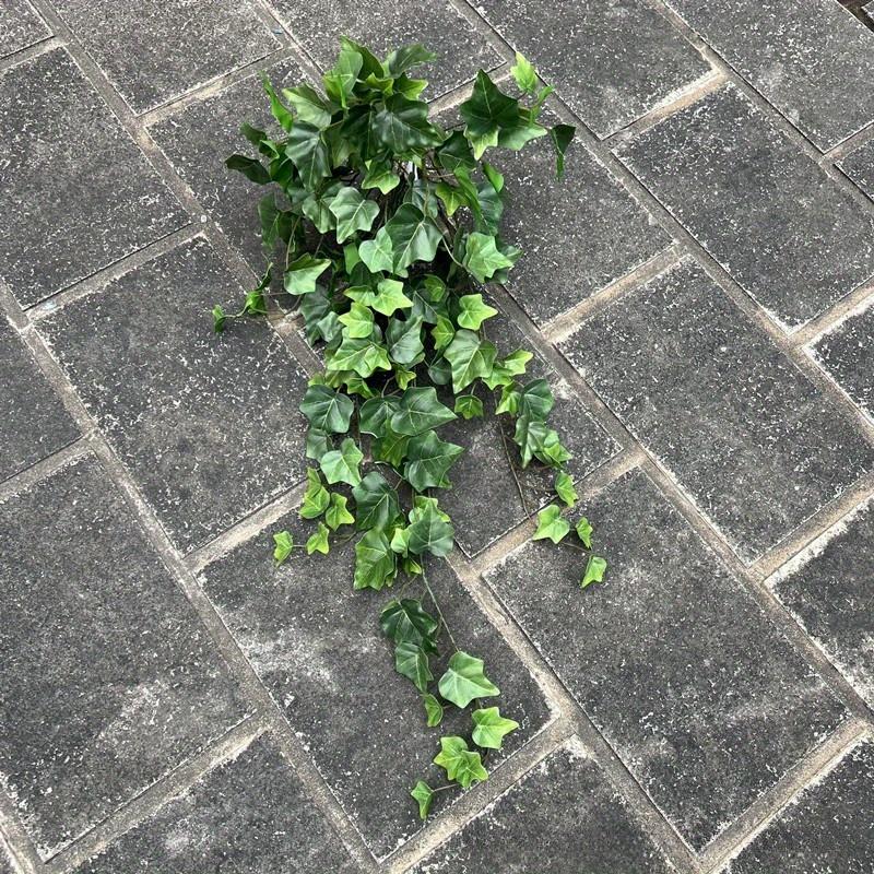 1Pc Simulation 25.6-inch Hand-feel Ivy Sweet Potato Leaf Vine Wall Hanging