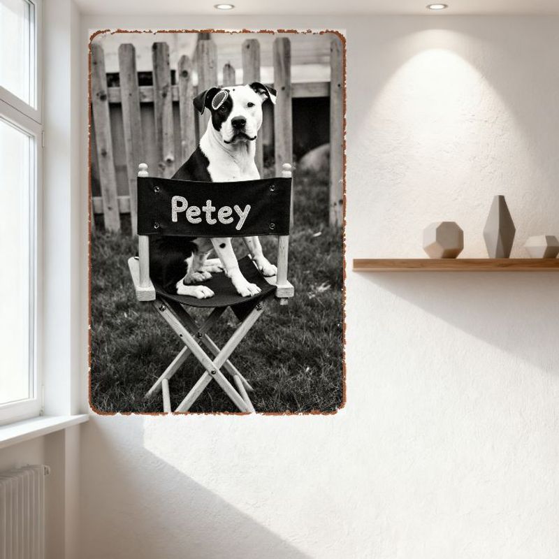 Vintage Black & White Pit Bull Dog Petey On Director's Chair Metal Tin Sign Rustic Outdoor Grassy Fence Wall Decor for Home Man