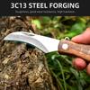 Mini Mushroom Knife Kitchen knives Stainless Steel Wooden Handle with keychain Brush Sharp Multifunctional Folding Knife Brush