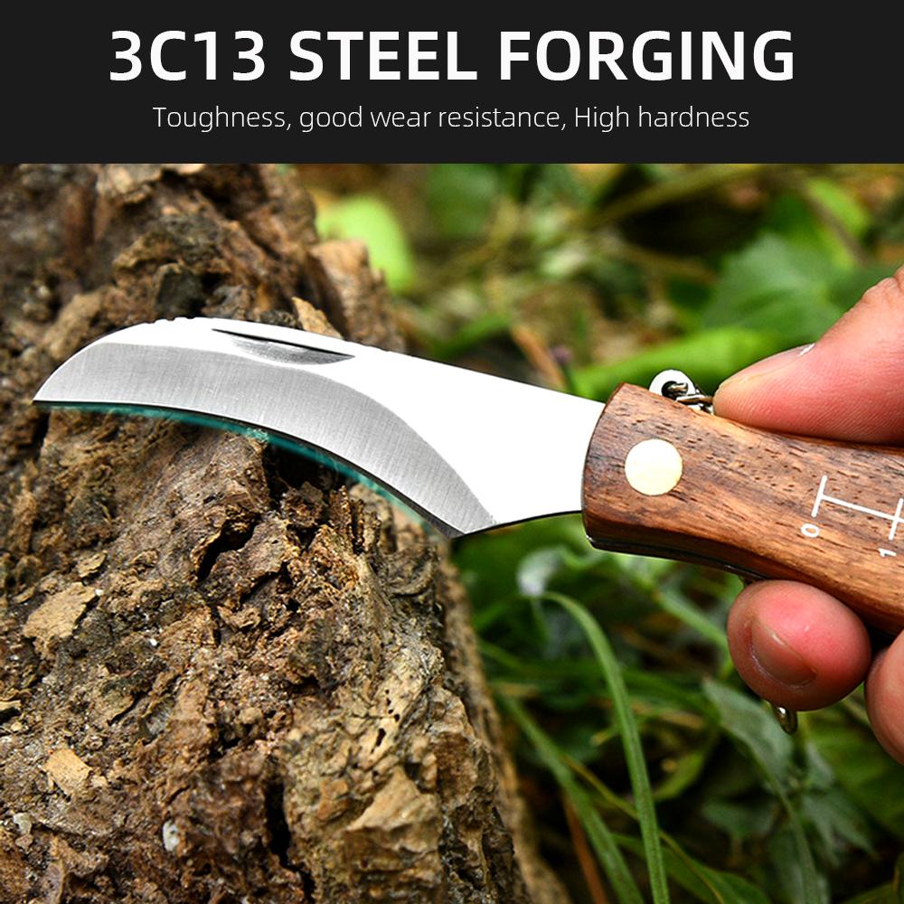 Mini Mushroom Knife Kitchen knives Stainless Steel Wooden Handle with keychain Brush Sharp Multifunctional Folding Knife Brush