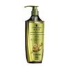 Ginger Essence Scalp Purifying Shampoo