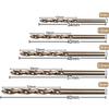 10/20/50pcs Straight Shank Twist Drill Bit Set HSS M35 Cobalt Drill Bit 1/1.5/2/2.5/3mm Used for Steel Stainless Steel