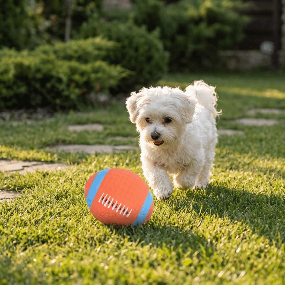 Daily Entertainment Soft Texture Squeaky Ball Oval Shape Latex Rugby Flexible Build Bright Tone Pet Play Teeth Cleaning