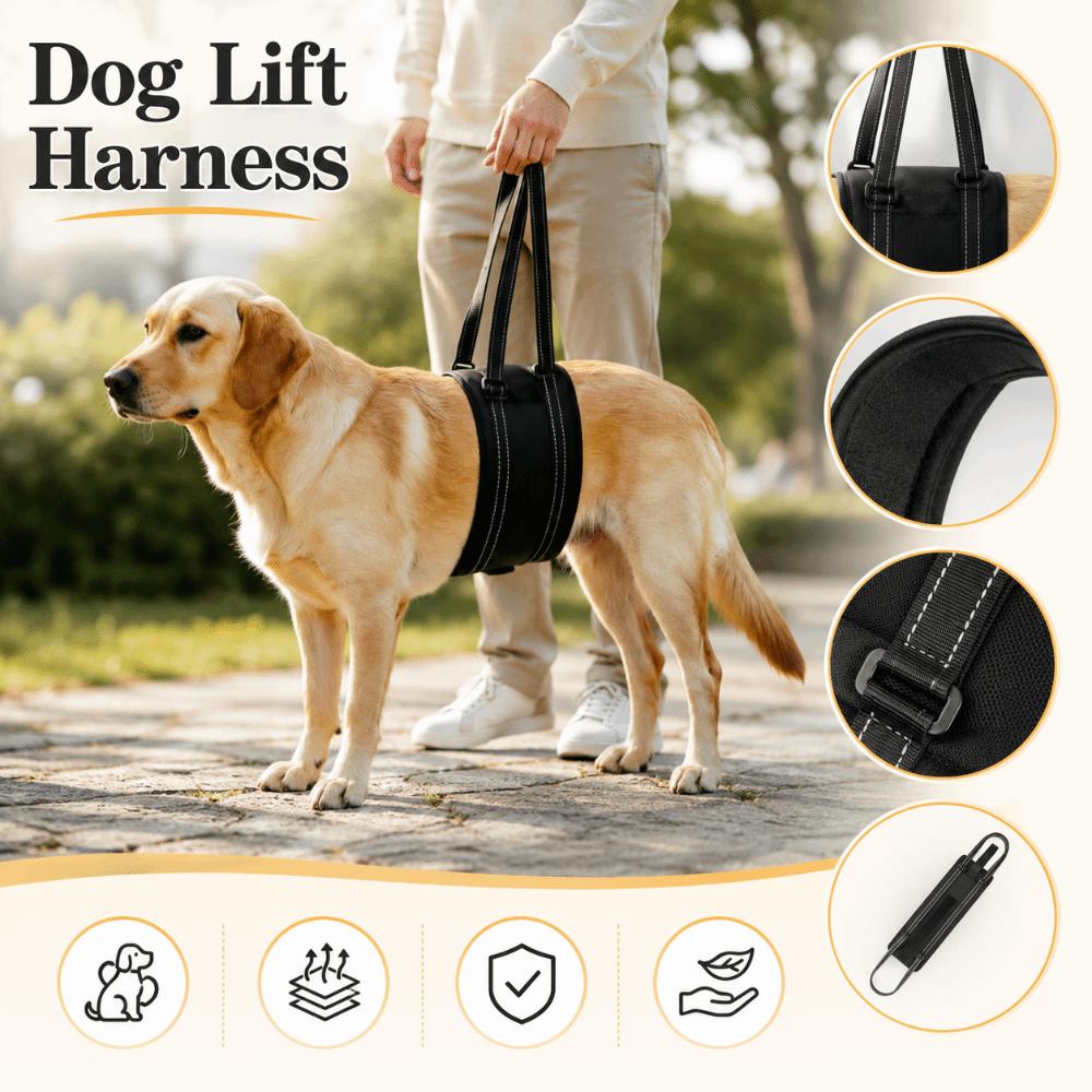 Adjustable Dog Lift Harness Breathable Convenient Handle Dog Support Recovery Sling Wear-resistant Portable Pet Aid Assist Tool