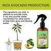 Professionelles Avocado-Baumspray Düngerkonzentrat für Pflanzen- und Blumengesundheit Wachstumsmischung Gartenzubehör