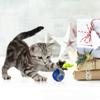 Spielzeugball für Katzen und Hunde, Katzenball zur Selbstunterhaltung und zur Linderung von Langeweile, kaufeste Spielzeugartefakte für Katzenjagden