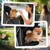 3 Wheel Pet Stroller for Small and Miniature Dogs, Black