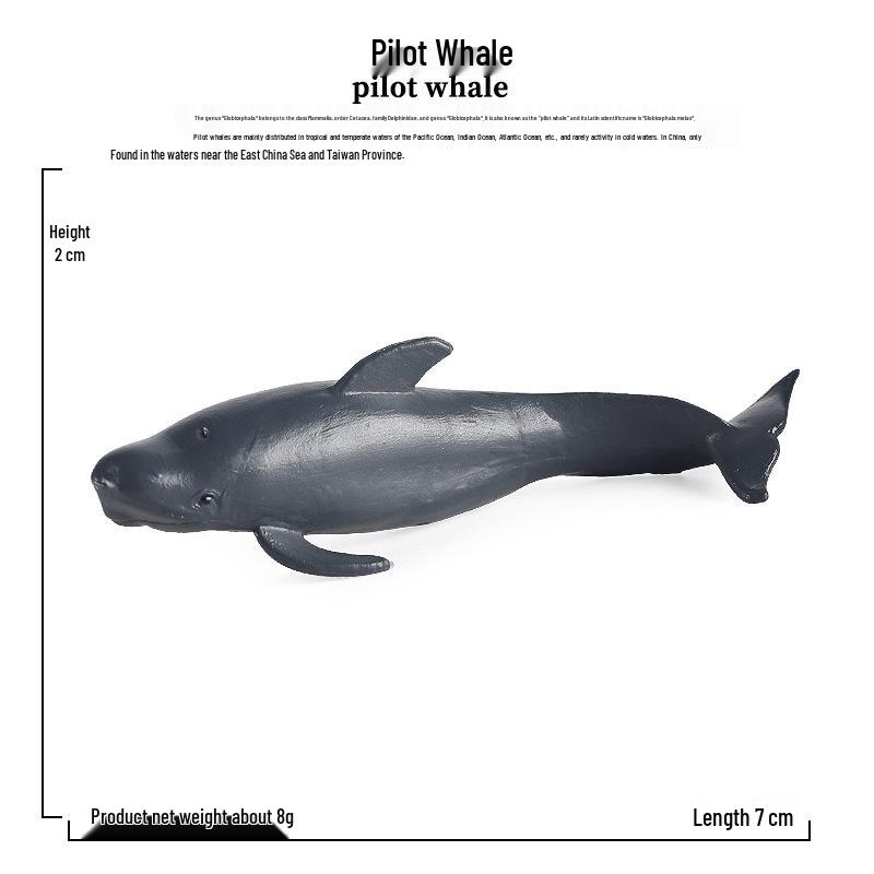 Mini Marine Animal Models: Great White Shark, Beluga, Octopus, Penguin, Dolphin Toys for Children