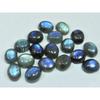 10X12MM Natural Labradorite Blue Fire Oval Cabochon Loose Gemstone 18Pcs Lot C-1061