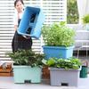 Extra Large Rectangular Plastic Vegetable Planting Box - Indoor/Outdoor Flower Pot with Thick Design for Home Gardening