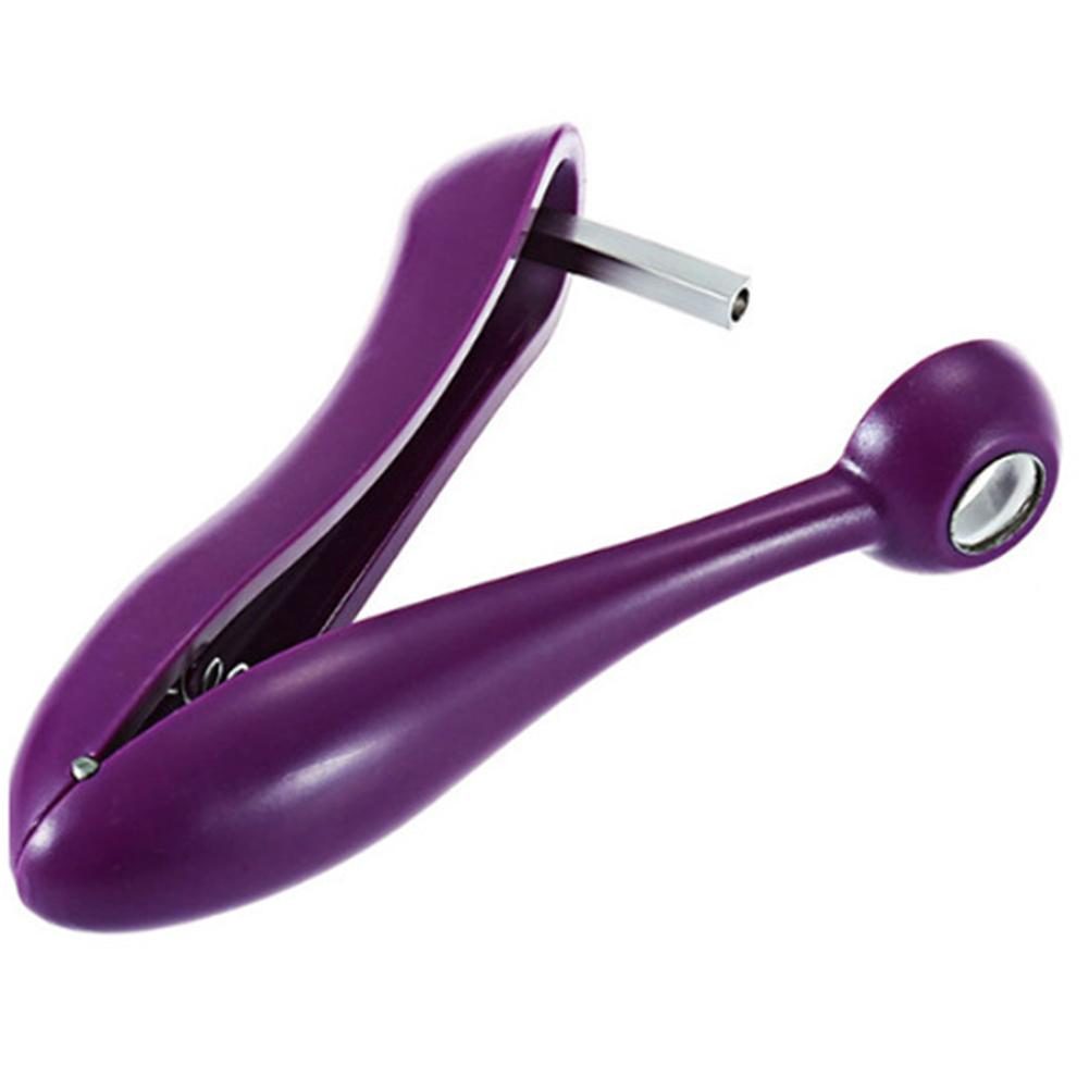 

Удалитель косточек боярышника, Бытовой удалитель косточек ююбы, Машина для удаления косточек, Кухонный удалитель косточек для фруктов и овощей фиолетовый