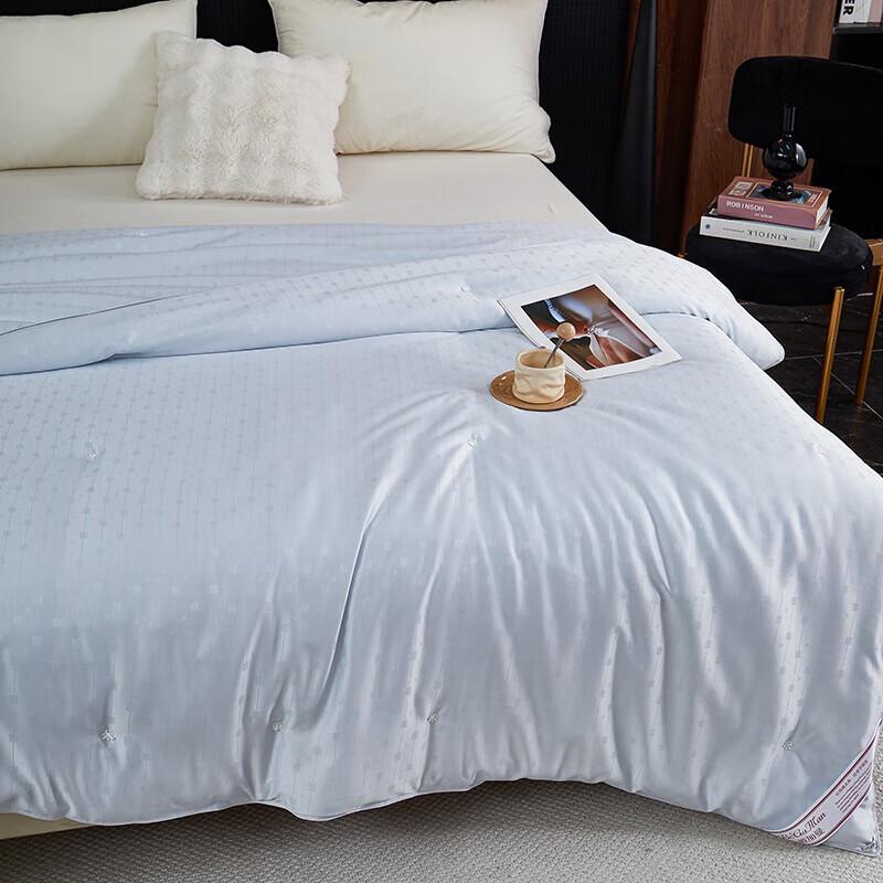 Bijiaman BGM-B2561 Verona Silver Jacquard Tussah Silk Blend Quilt