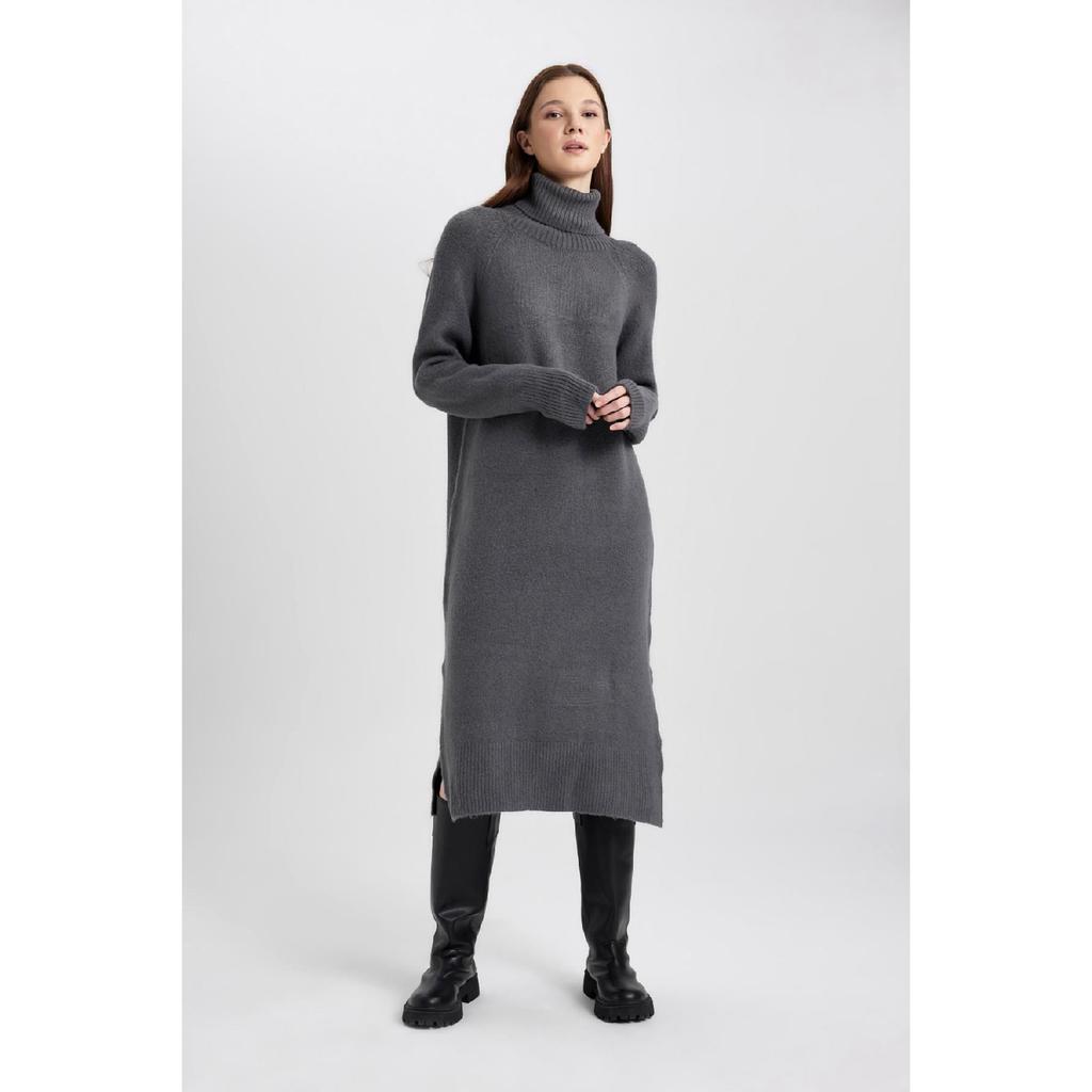 Regular Fit Turtleneck Long Sleeve Dress C1932ax23wn