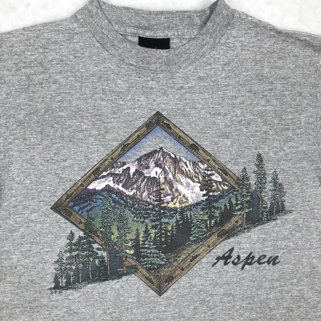 vintage 90s ASPEN COLORADO SKI T-Shirt XS mountain surf single stitch