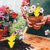 30-10PC Heterotypic Sticky Insect Board for Home Courtyard Flower Pest Control Catcher, Flower Pot, Garden Flower Insect Heterotypic Trap