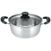 Kakusee Nilworka NW-04 Silver Two-Handled Pot, 20cm, Holds 2.6L Full, Rust-Resistant Stainless Steel with Glass Lid, Lightweight, Induction Compatible