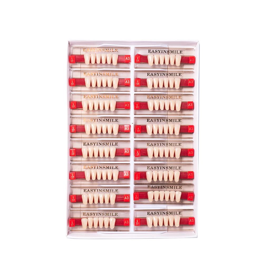 16/12 Sätze/Karton Zahnprothese Zähne Oberkiefer Frontzähne Unterkiefer Seitenzähne Dentier Synthetisches Polymerzähne Zahnmedizinische Ausbildungsmodell