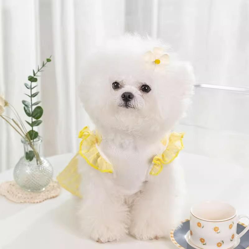 Dog Dress Spring Summer Three-dimensional Cat Plaid Skirt Teddy Bee Bear Small and Medium Dog Cat Pet Clothing