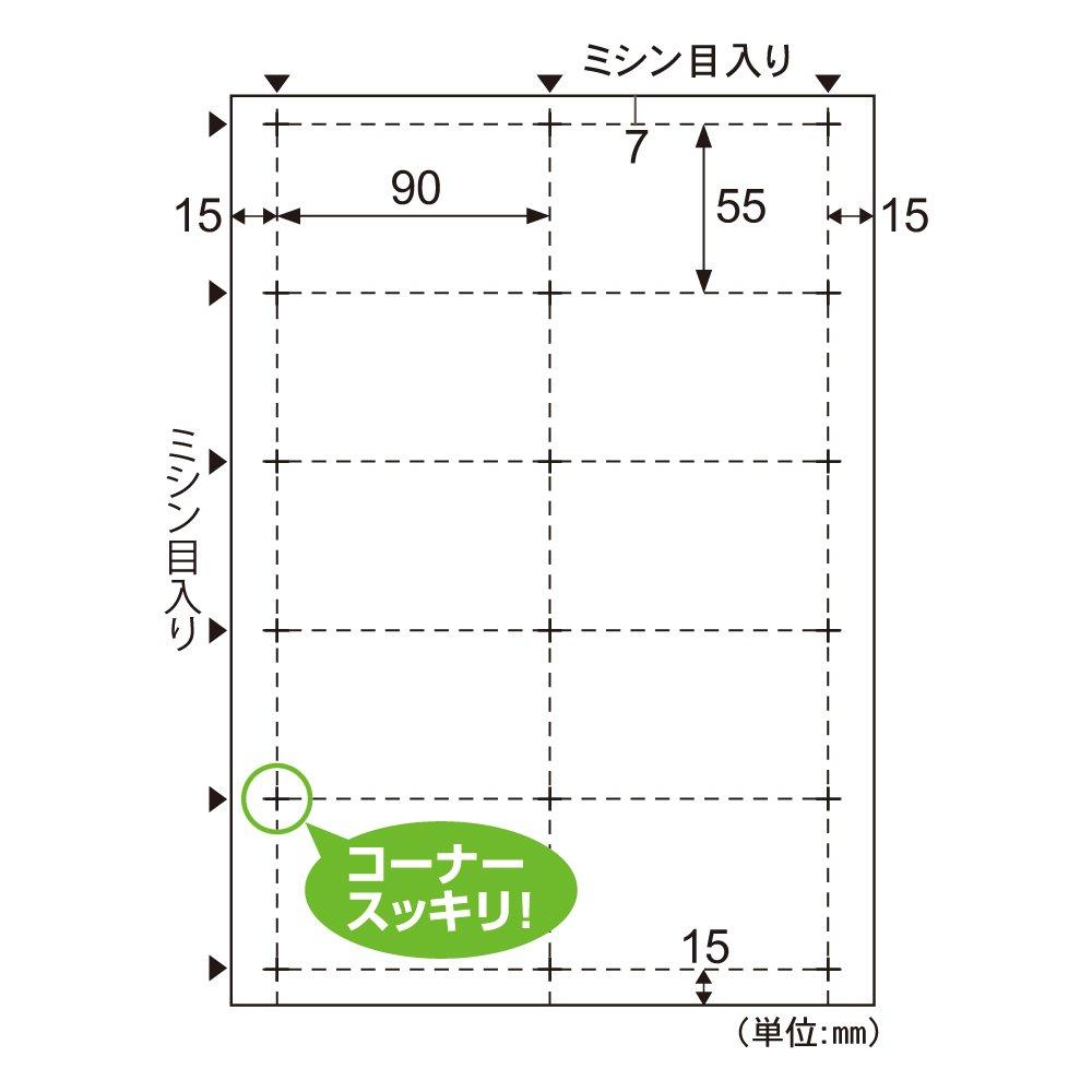 Hisago Business Cards, 10-Sided, Thick (100 Cards) BX06