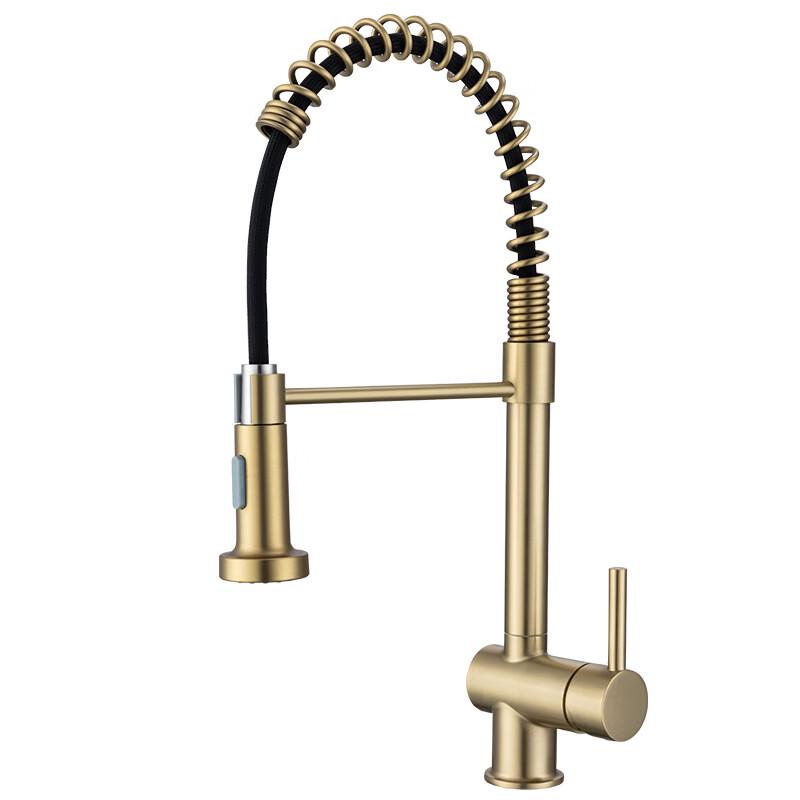TLXT Stainless Steel Spring Kitchen Faucet