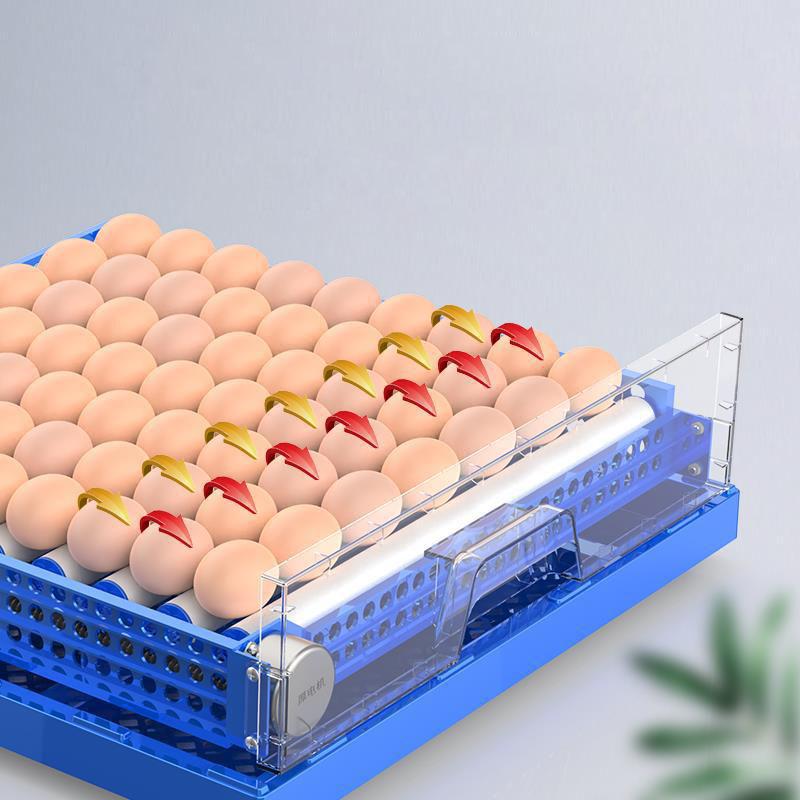 132 Eggs Incubator Digita Mini Automatie Incubatores Fully Automatic Farm Hatching Machine Chicken Goose Pigeon Hatchery Brooder