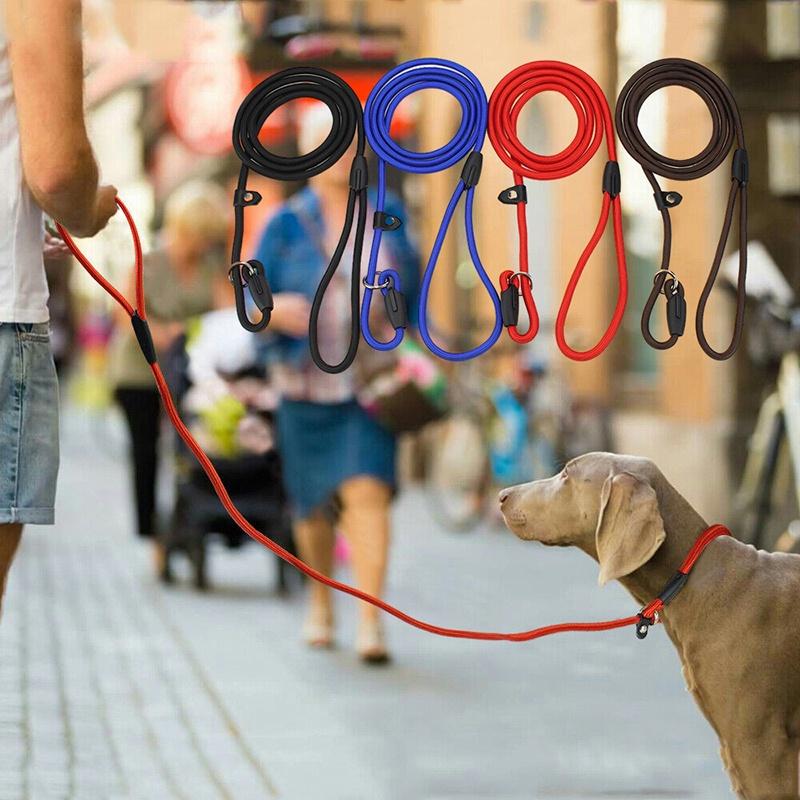 Heavy-duty Dog Leash Strong And Reliable Pet Leash Suitable For Small/medium/large Dogs