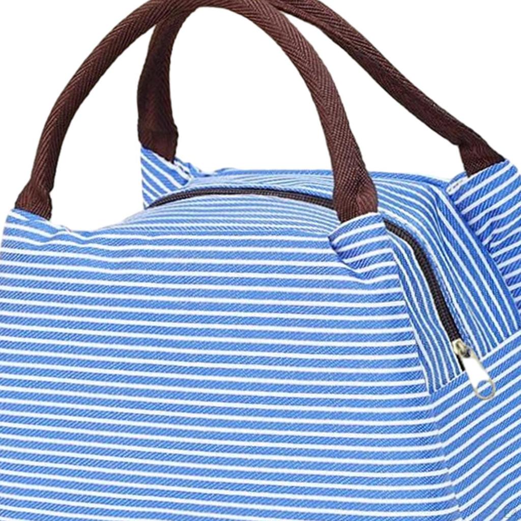Lunch Totes Pouch with Zipper Picnic Tote Food Box Bags for